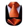 Hisdern TL-01S Men's Plain Necktie, Pocket Square Gift, Silky Sheen,