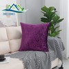 ZIMEL HOMES Pack of 2 Crushed Velvet Cushion Covers 43