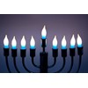 The Dreidel Company Menorah Bulbs, 9 Blue & White Electric