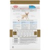 ROYAL CANIN, Puppy - Chihuahua, Croquetas para Perro, 1.1kg