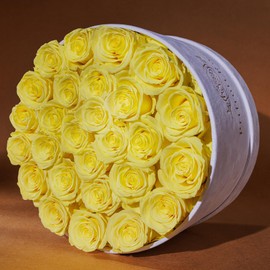 Forever Real Roses in Suede Box - 27-Piece Roses in a Luxury Box - Real Preserved Roses That Last Over a Year - Valentines Day Flowers for Delivery Prime - Mothers Day, Christmas, Birthday (Yellow)