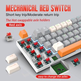 ROCK POW 60% Mechanical Gaming Keyboard 60 Percent,LED Backlit Compact 63 Keys Mini Wired Keyboard for PC,Windows XP,Win 7/10,Vista,Me,Typist,Travel,(White-Grey-Orange, Red Switches)