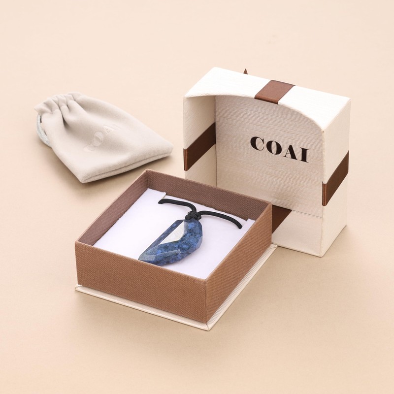 COAI Men's Gemstone Wolf Tooth Pendant, Stone, African Blue Stone