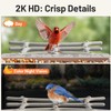 Smart Bird Feeder with Camera Solar Powered Outdoor - 2K