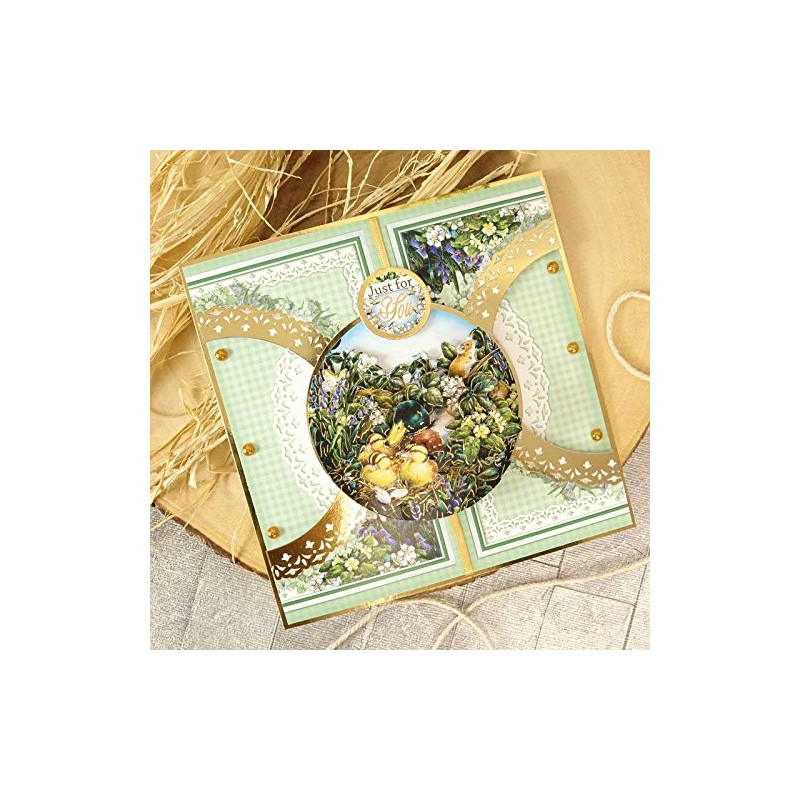 Hunkydory Crafts Delightful Birds Decoupage Card Kit