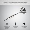 Champify Brass Darts Set "Blizzard" with 18 g Barrel and