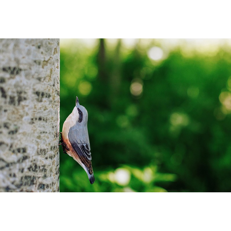 WILDLIFEGARDEN Wildlife Garden WG410 DecoBird Nuthatch, Hand-Carved Decorative Wooden Bird,