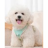 Petank Blue xs Dog Harness for Small Dogs, No Pull