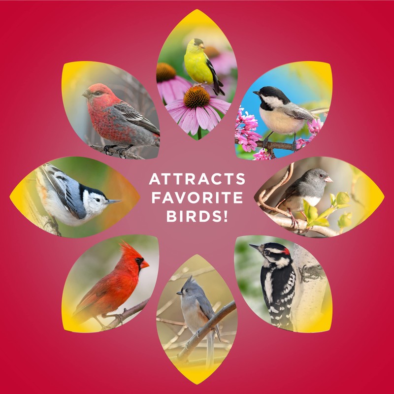 Audubon Park Cardinal Blend Wild Bird Food, Cardinal Bird Seed