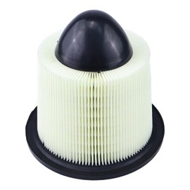 JZGRDN Engine Air Filter A34878 F6ZZ9601A 46418 Compatible with Ford E-150 E-250 E-350 E-450 E-550 Econoline EXCURSION F-150 F-250 F-350 F-450 F-550 F53 LOBO MUSTANG ESPERANTE