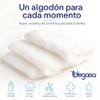 Degasa Protec Algodón Absorbente Plisado Paquete de 2 Piezas 300