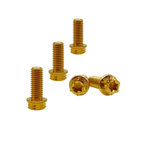 RISON-Titanium Titanium Screws M6 x 1.0 x 10 mm, Pack