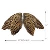1 Pair - Natural Ringneck Pheasant Hen Whole Wing Feather
