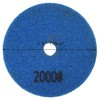 LGXEnzhuo 2000 Mesh Resin Polishing Pad 1 PC Diameter 3.9inch
