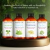 Tea Tree Essential Oil | 100% Pure and Natural |