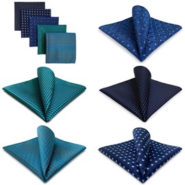 Shlax&Wing 5 Pieces Assorted Men's Handkerchiefs Set - l