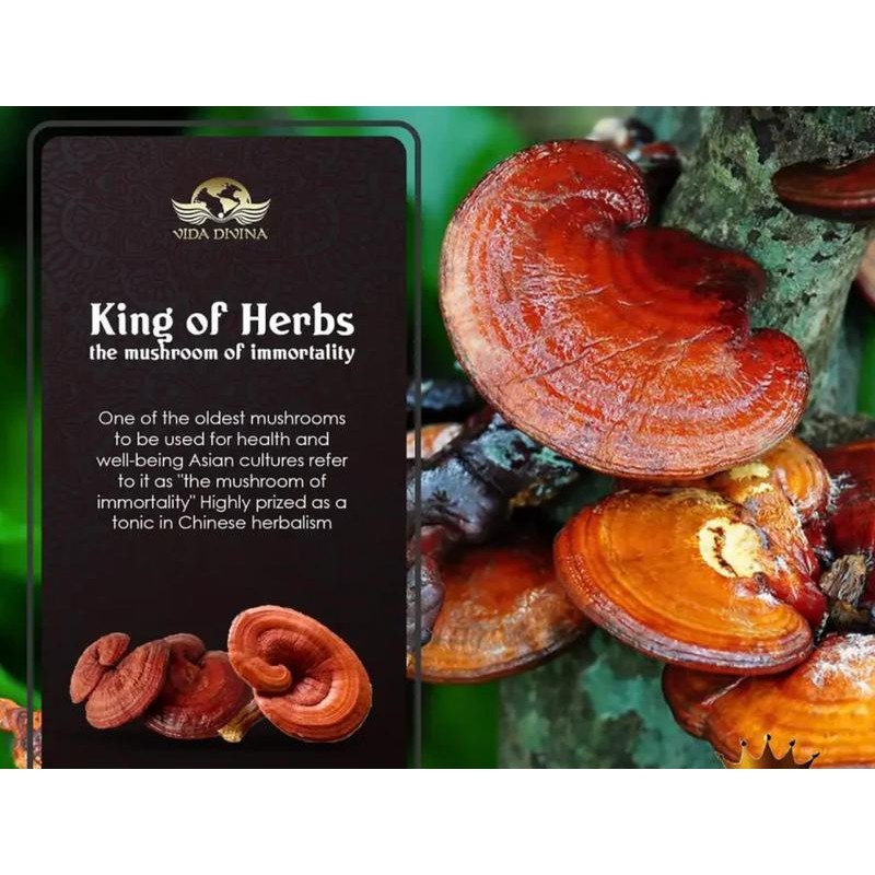 Gano Reishi Mushroom Supplement