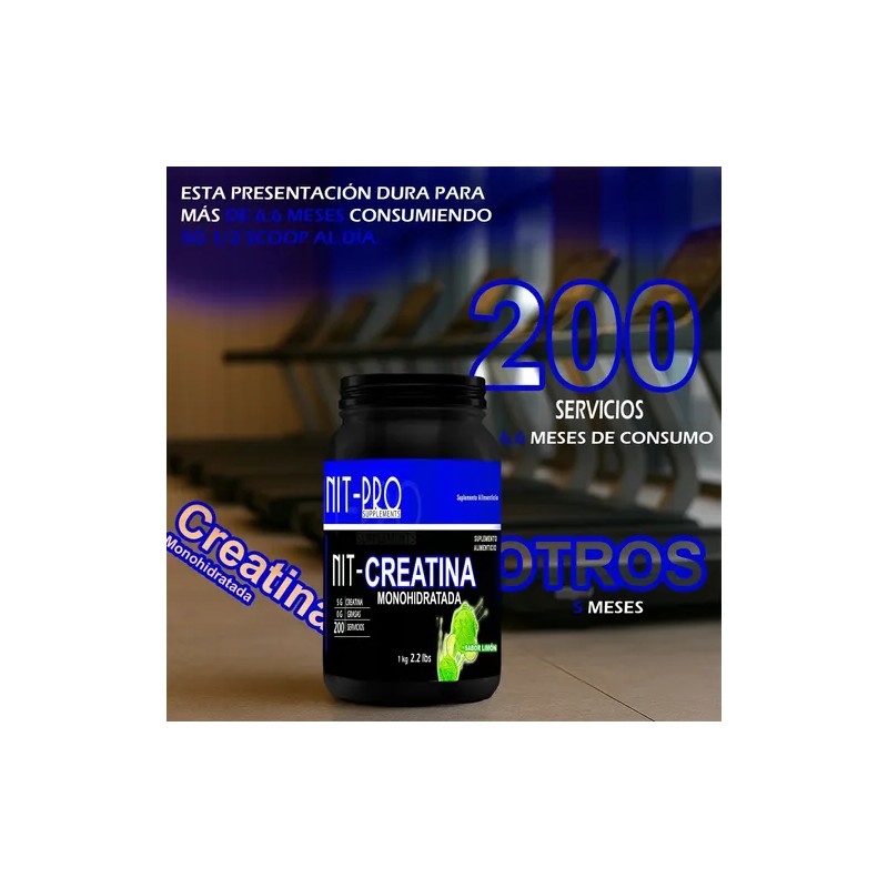 Creatina Monohidratada En Polvo 1kg Nit-pro Varios Sabores