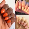 Almond Nail Tips, Short, Pack of 510 Full Cover Nail