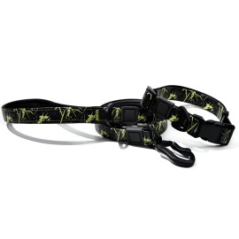 Waterproof Luxury Dog Collar and Leash Set, Heavy-Duty Luxury Pet Collars & Leashes, Beach, RainingSize: M, Color: Green