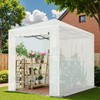 Greesum 8x6 FT Portable Pop-up Greenhouse with Center Lock, PE