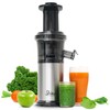 Shine Kitchen Co SJV-107-A Cold Press Slow Masticating Juicer, Stainless