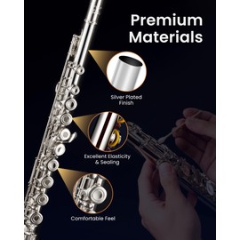 Fesley Closed Hole C Flute, Musical Instruments Flute for Kids Beginner and Band, 16 Keys Flutes with Flute Case, Cleaning Cloth, Cleaning Rod and Gloves