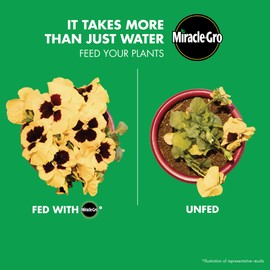 Miracle-Gro Liquafeed Bloom Booster Flower Food 2-Pack Refills