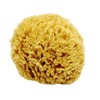 Unbleached Honeycomb Natural Sea Sponge - Strong type