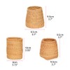 Hand Woven Rattan Pen Holder Cups Wicker Makeup Brush Storage