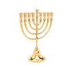 Yair Emanuel Hannukah Menorah Classic Bronze Rounded Branches