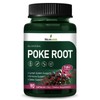 Selvaherb Poke Root Capsules Lymphatic Drainage Supplements, Lymph System Support