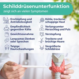 2x Hypothyroidism Test (TSH) Simple Self Test for Symptoms such as Fatigue or Cold Sensation for Home Without Laboratory with Instant Result White