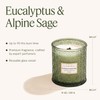 LA JOLIE MUSE Scented Candles Eucalyptus & Alpine Sage, 19