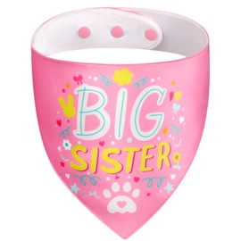 Big Sister Dog Bandana with Snap Button - Pink Silky Satin Pet Scarf, Baby Announcement Accessories for Dogs, Gender Reveal Photo Prop, Stylish Pet Gift (Large)