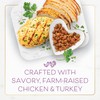 Fancy Feast Dry Cat Food with Savory Chicken and Turkey