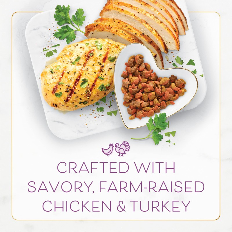 Fancy Feast Dry Cat Food with Savory Chicken and Turkey