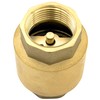 SHYNE SHYNE Premium 1 Zoll Rückschlagventil aus hochwertigem Messing robust,