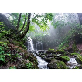 Leyiyi 8x6ft Jungle Waterfall Backdrop Tropical Rainforest Natural Scenery Background for Photography Misty Old Forest Rock Flowing Stream Spring Scenery Travel Theme Photo Shoot Photo Studio Props