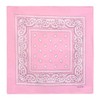 Laciteinterdite Set of 3 Paisley Bandanas for Men and Women,