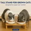 DoogCat Elevated Cat Bowls for Indoor Cats – Raised Bamboo