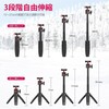 Ulanzi 2829A Ulanzi Magnetic Quick Release Tripod for DJI Action