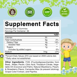 Vitamatic Kids Prebiotic Fiber Gummies – Extra Strength 4g Fiber – Zero Sugar Added – 60 Pectin-Based Gummies – Digestive Health & Regularity Support - 2 Pack
