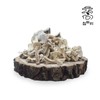 Chamdoori natural yam (sanyak) 300g (domestic) / 참두리 자연산 마 (산약) 300g (국내산)