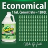 OdoBan Disinfectant Concentrate and Odor Eliminator,1 Gallon,Origina