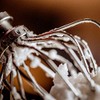 Kitty Professional Professional Whisk "Foam Beater" Compatible with KitchenAid 4.3