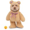 Walking Teddy Bear Pet Suit