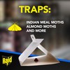 Raid Pantry Moth Traps for Food Storage Areas, 2 Pack,