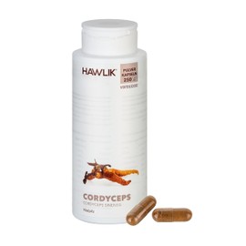 HAWLIK Vital Mushrooms Cordyceps Powder Capsules | 250 Capsules | 500 mg Vital Mushroom Powder | Vegan | Sugar Cane Tin