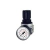 RIEGLER R 05-3 multifix-mini pressure regulator including pressure gauge, size
